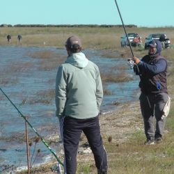 La laguna sufrió una importante mortandad en el verano, aunque no afectó a toda la población del ámbito. (Foto: Omar Calafate).