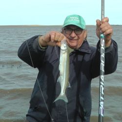 La laguna sufrió una importante mortandad en el verano, aunque no afectó a toda la población del ámbito. (Foto: Omar Calafate).