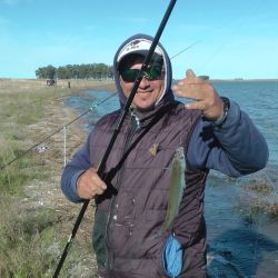 La laguna sufrió una importante mortandad en el verano, aunque no afectó a toda la población del ámbito. (Foto: Omar Calafate).