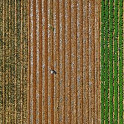 Un agricultor trabaja en el campo en una aldea de Yantai, en la provincia oriental china de Shandong. | Foto:AFP