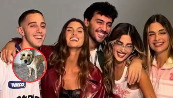 Denuncian a un integrante del canal de streaming "La Casa" por maltrato animal: "Lo deja sin comida"