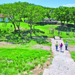Se puso en valor el Camino Real, escenario de estancias turísticas, ferias, comidas típicas y festivales.