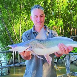 El combo otoñal de especies nos lleva de los patíes y armados que nunca faltan, a las últimas bogas de la temporada.