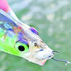 El Club Tucumán Pesca y Regatas se destaca por su prolijidad y buenos servicios. Es el único que alquila botes. Un oasis en medio de las yungas.