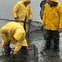 Los pescadores con mosca por primera vez son parte de este proceso, siendo inscriptos originalmente unos 30 cañófilos, pero por las condiciones climáticas desapacibles se acercaron menos.