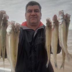 Buena semana para el litoral, aunque las condiciones no fueron las mejores en la playa y en algunas lagunas. 