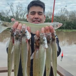 Buena semana para el litoral, aunque las condiciones no fueron las mejores en la playa y en algunas lagunas. 