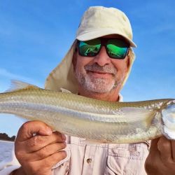 Buena semana para el litoral, aunque las condiciones no fueron las mejores en la playa y en algunas lagunas. 