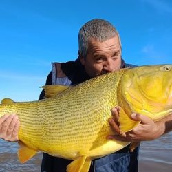 Buena semana para el litoral, aunque las condiciones no fueron las mejores en la playa y en algunas lagunas. 