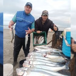 Buena semana para el litoral, aunque las condiciones no fueron las mejores en la playa y en algunas lagunas. 