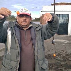 Buena semana para el litoral, aunque las condiciones no fueron las mejores en la playa y en algunas lagunas. 