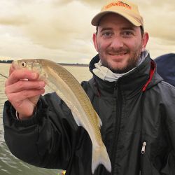 En una pesca tan sutil como la de pejerrey, hay conceptos fundamentales que nos pueden llevar de un fracaso absoluto a una buena faena.