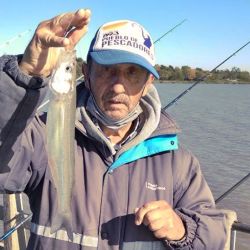 Propuestas para pescar con el mate a mano, ya sea en muelles o desde la costa. 