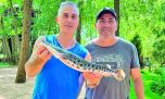 Cayo Paraná: un lugar distinto en el Delta