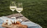 Cuál es el varietal blanco más elegido