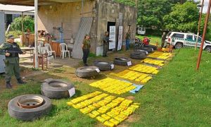 Tras un mes de seguimientos secretos y pesquisas, descubrieron 425 kilos de cocaína.