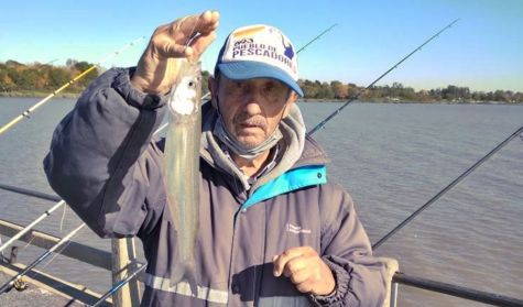 2305_pesca
