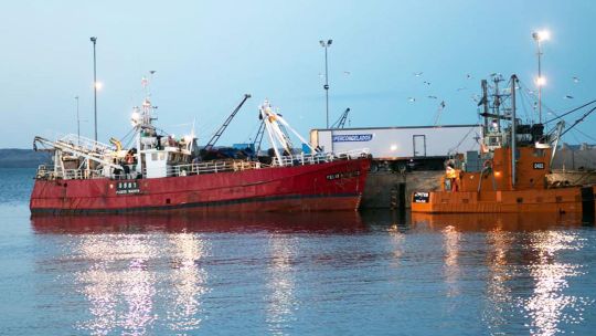 Temporada paralizada para el sector pesquero