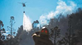 25_05_2025_incendio_forestal_cedoc_g