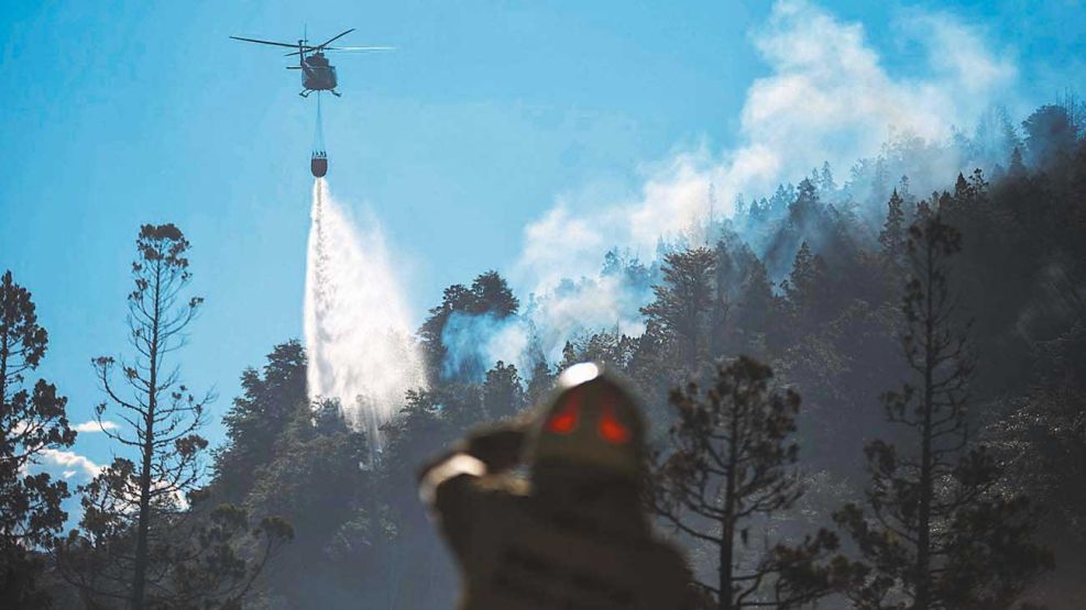 25_05_2025_incendio_forestal_cedoc_g