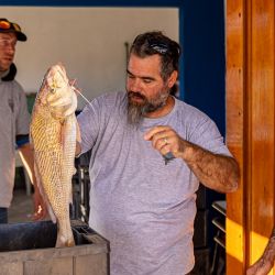 Si bien la ganchera se completó con ejemplares de buen porte, fueron de la partida mucha variada chica, como pescadillas, brótolas y varias roncadoras que no llegaron a clasificar entre los primeros 20 puestos. 