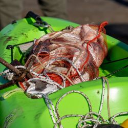 Si bien la ganchera se completó con ejemplares de buen porte, fueron de la partida mucha variada chica, como pescadillas, brótolas y varias roncadoras que no llegaron a clasificar entre los primeros 20 puestos. 