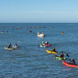 Si bien la ganchera se completó con ejemplares de buen porte, fueron de la partida mucha variada chica, como pescadillas, brótolas y varias roncadoras que no llegaron a clasificar entre los primeros 20 puestos. 
