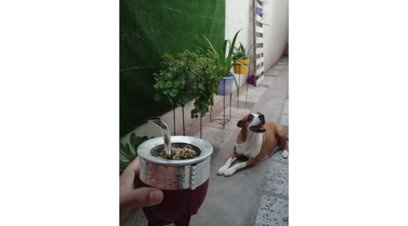 “No hay preguntas tontas, hay tontos que no preguntan”
