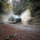 Ford Tremor