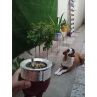 “No hay preguntas tontas, hay tontos que no preguntan”