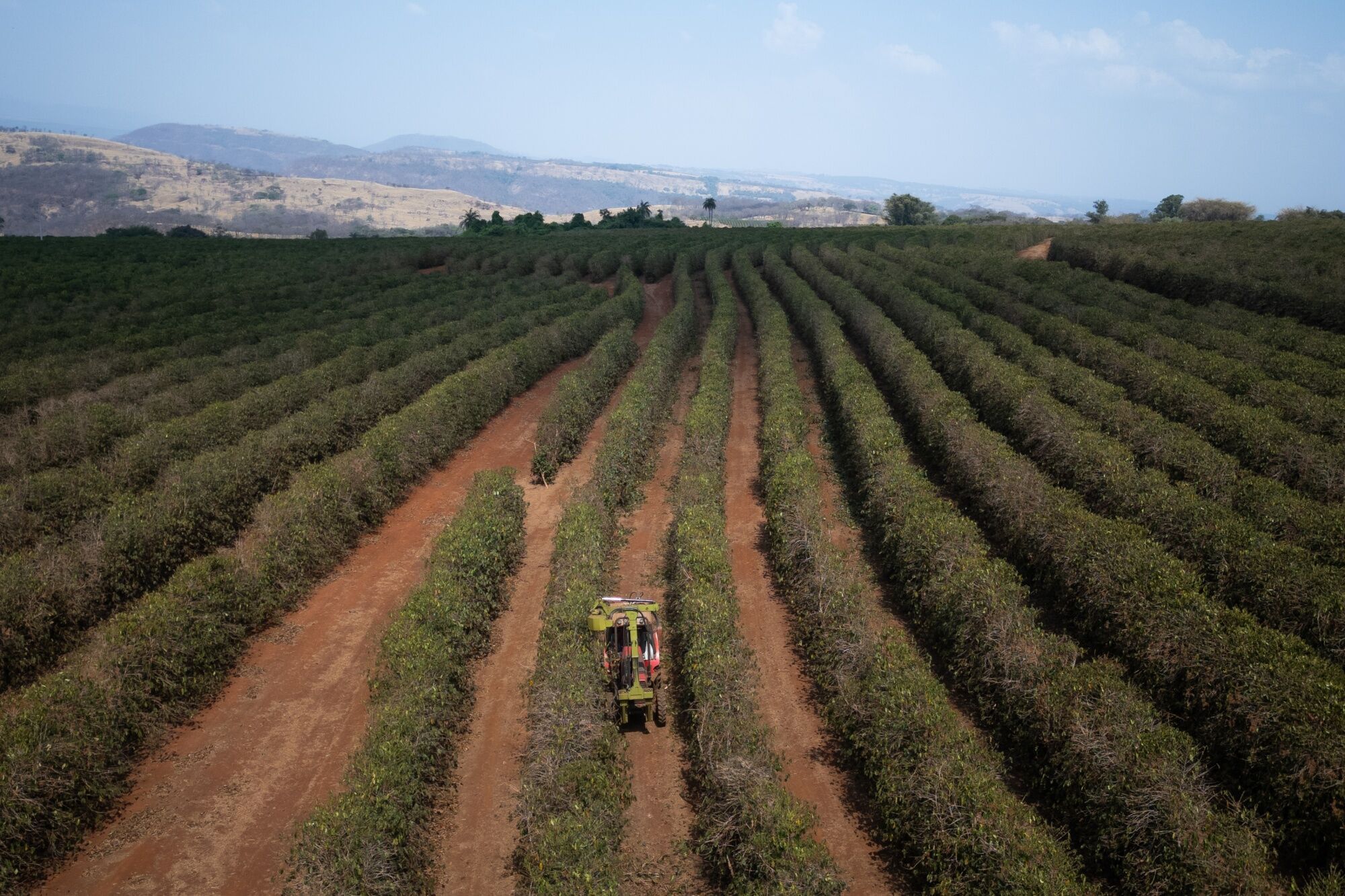 Global Food Prices Risk Spiking On Worst-Ever Drought In Brazil