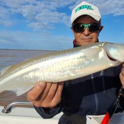 El agua aún no se limpió y sigue turbia, aunque no afecta a los buenos rindes piscatorios.