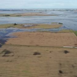 No solo las lagunas se ven complicadas. El Salado muestra un panorama aterrador en algunos puntos, con importantes desbordes particularmente por Roque Pérez.
