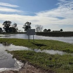 No solo las lagunas se ven complicadas. El Salado muestra un panorama aterrador en algunos puntos, con importantes desbordes particularmente por Roque Pérez.
