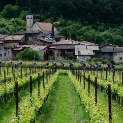 El pelotón pasa por el pueblo de Cavedine, cerca de Trento, durante la 16ª etapa del 108º Giro de Italia, una carrera ciclista de 203 km entre Piazzola sul Brenta y San Valentino. | Foto:Luca Bettini / AFP