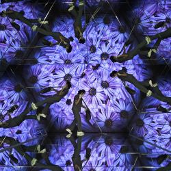 Un empleado limpia pisos con espejos en la exhibición de arte digital Mahanakorn Skyverse en King Power Mahanakorn en Bangkok. | Foto:LILLIAN SUWANRUMPHA / AFP