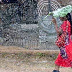 Una mujer del pueblo Kichwa de Sarayaku camina bajo la lluvia en Sarayaku, en la provincia amazónica de Pastaza, Ecuador. | Foto:RODRIGO BUENDIA / AFP