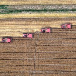 Una vista aérea muestra cosechadoras trabajando en un campo de trigo en Huaian, en la provincia oriental china de Jiangsu. | Foto:AFP