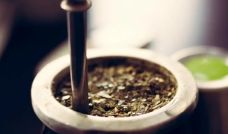 Yerba mate