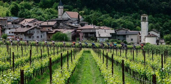 El pelotón pasa por el pueblo de Cavedine, cerca de Trento, durante la 16ª etapa del 108º Giro de Italia, una carrera ciclista de 203 km entre Piazzola sul Brenta y San Valentino.