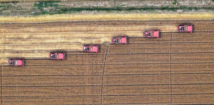 Una vista aérea muestra cosechadoras trabajando en un campo de trigo en Huaian, en la provincia oriental china de Jiangsu.