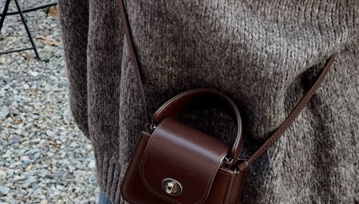 Conocé las minibags que se reversionan en el 2025 y así se llevan