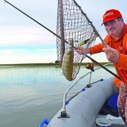 Gracias a las últimas lluvias, recuperó su nivel y se postula entre las primeras de la agenda del pescador. Si bien los portes logrados no llegaron al kilo, cuando el frío se asiente dará qué hablar.