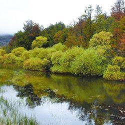 El lago Engaño es el que tiene la mejor calidad de fontinalis de toda esta cuenca y, hacia fines de temporada, las truchas están en plenitud de forma y bien pigmentadas. 