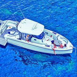 Nuevo modelo del astillero norteamericano del Grupo Beneteau estuvo presente en el Salón Náutico de Düsseldorf, lugar donde obtuvo el galardón de  European Powerboat of the Year. 