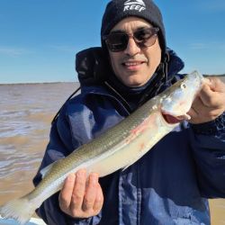 Los pejerreyes están entre los 38 a 40 cm, ejemplares de calidad que ya son la atracción de muchos aficionados que visitan con esa idea el Uruguay.