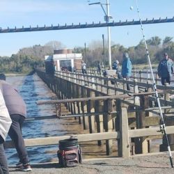 Los pescadores que intentan a fondo se encuentran con nulos resultados con el pejerrey, especie que arrancó a picar a flote. Abajo, abundante variada de piel.