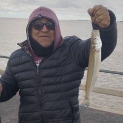 Los pescadores que intentan a fondo se encuentran con nulos resultados con el pejerrey, especie que arrancó a picar a flote. Abajo, abundante variada de piel.