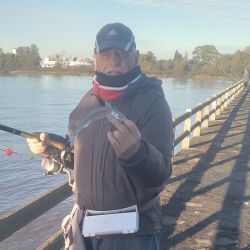 Los pescadores que intentan a fondo se encuentran con nulos resultados con el pejerrey, especie que arrancó a picar a flote. Abajo, abundante variada de piel.