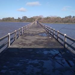 Los pescadores que intentan a fondo se encuentran con nulos resultados con el pejerrey, especie que arrancó a picar a flote. Abajo, abundante variada de piel.